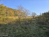 TBD Copper Ridge Rd - Photo 28