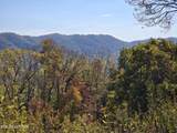 TBD Copper Ridge Rd - Photo 3
