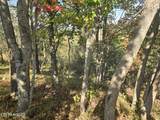 TBD Copper Ridge Rd - Photo 30