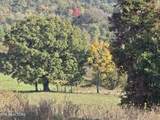 TBD Copper Ridge Rd - Photo 31