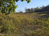 TBD Copper Ridge Rd - Photo 35