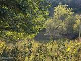 TBD Copper Ridge Rd - Photo 39