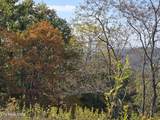 TBD Copper Ridge Rd - Photo 4