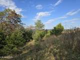 TBD Copper Ridge Rd - Photo 46