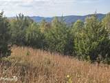 TBD Copper Ridge Rd - Photo 47