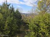 TBD Copper Ridge Rd - Photo 48