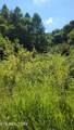 0 Clouds Creek Rd - Photo 6