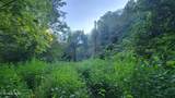 0 Clouds Creek Rd - Photo 7