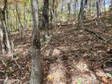 Lot 11 Bluff Mtn. Rd. - Photo 11