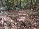 Lot 11 Bluff Mtn. Rd. - Photo 12