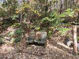 Lot 11 Bluff Mtn. Rd. - Photo 13