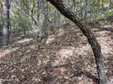 Lot 11 Bluff Mtn. Rd. - Photo 4