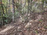 Lot 11 Bluff Mtn. Rd. - Photo 5