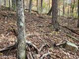 Lot 11 Bluff Mtn. Rd. - Photo 6