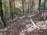 Lot 11 Bluff Mtn. Rd. - Photo 7