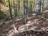 Lot 11 Bluff Mtn. Rd. - Photo 8