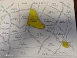 4.99 acres Juniper Court - Photo 11