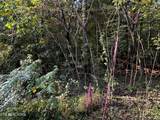 Lot 14 Trenton Lane - Photo 2
