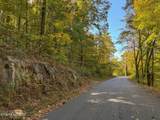 Strong Hollow Lane - Photo 20
