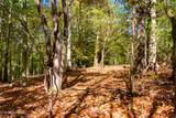 Lot 2 Beard Rd - Photo 15