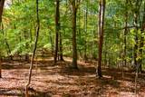 Lot 2 Beard Rd - Photo 19