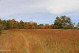 29 Acres Ballplay Road - Photo 12