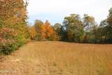 29 Acres Ballplay Road - Photo 15