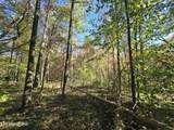 0 Horseshoe Bend Rd - Photo 3