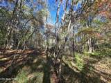 0 Horseshoe Bend Rd - Photo 7