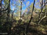 0 Horseshoe Bend Rd - Photo 8