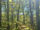 1844 Creek Hollow Way Way - Photo 2