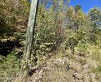 P 20.15 Creek Hollow Way - Photo 1