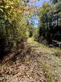 Parcel 20 Creek Hollow Way - Photo 3