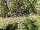 Parcel 20 Creek Hollow Way - Photo 4