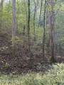 251 Mine Hollow Rd - Photo 2