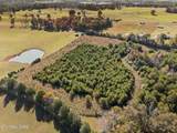  Old Sink Church Road, 31 - Photo 4