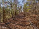  Balfour Drive - Photo 11