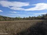 0 Williams Bend Rd - Photo 31