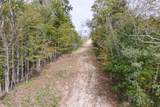 7.4 AC Helms Hollow Road - Photo 4