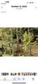 Lot 6 Cabin Creek Way - Photo 7