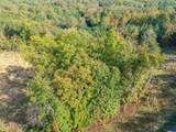 Lot 272 Spruce Drive - Photo 2