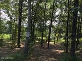 Lot 272 Spruce Drive - Photo 4