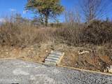 Tract 2 Forest Hill Drive - Photo 9
