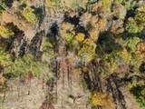  Sheep Ranch Rd - Photo 12