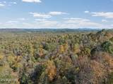 Sheep Ranch Rd - Photo 13