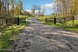  Sheep Ranch Rd - Photo 15