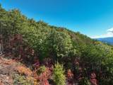 Lot #32 Chilhowee Tr - Photo 16
