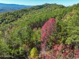 Lot #32 Chilhowee Tr - Photo 17