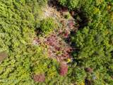 Lot #32-B Chilhowee Tr - Photo 9