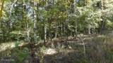 Lot 2 Inland Court - Photo 18